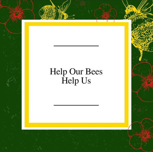 4 Simple ways we can "Help Our Bees Help Us"